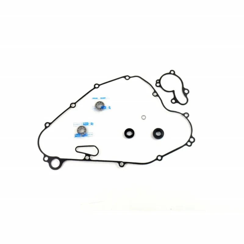 Cenový Hit Těsnění vodní pumpy sada ATHENA P400250475012