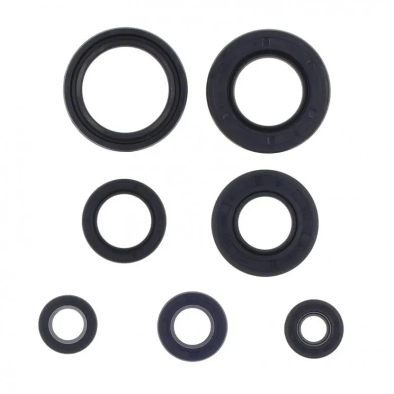 Autentický Sada gufer motoru ATHENA P400485400205