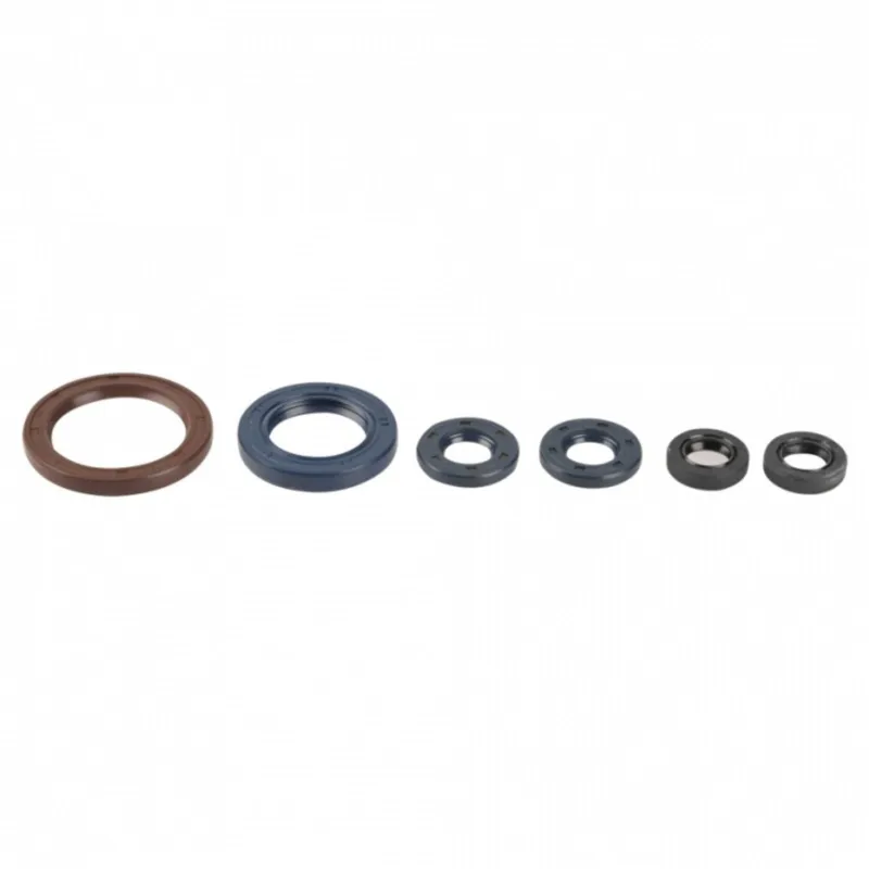 Zlevněný Sada gufer motoru ATHENA P400270400056